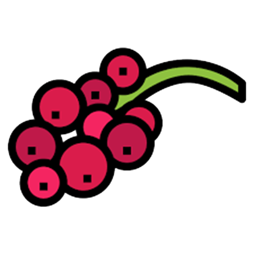 Currant