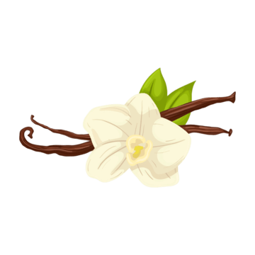 Vanilla